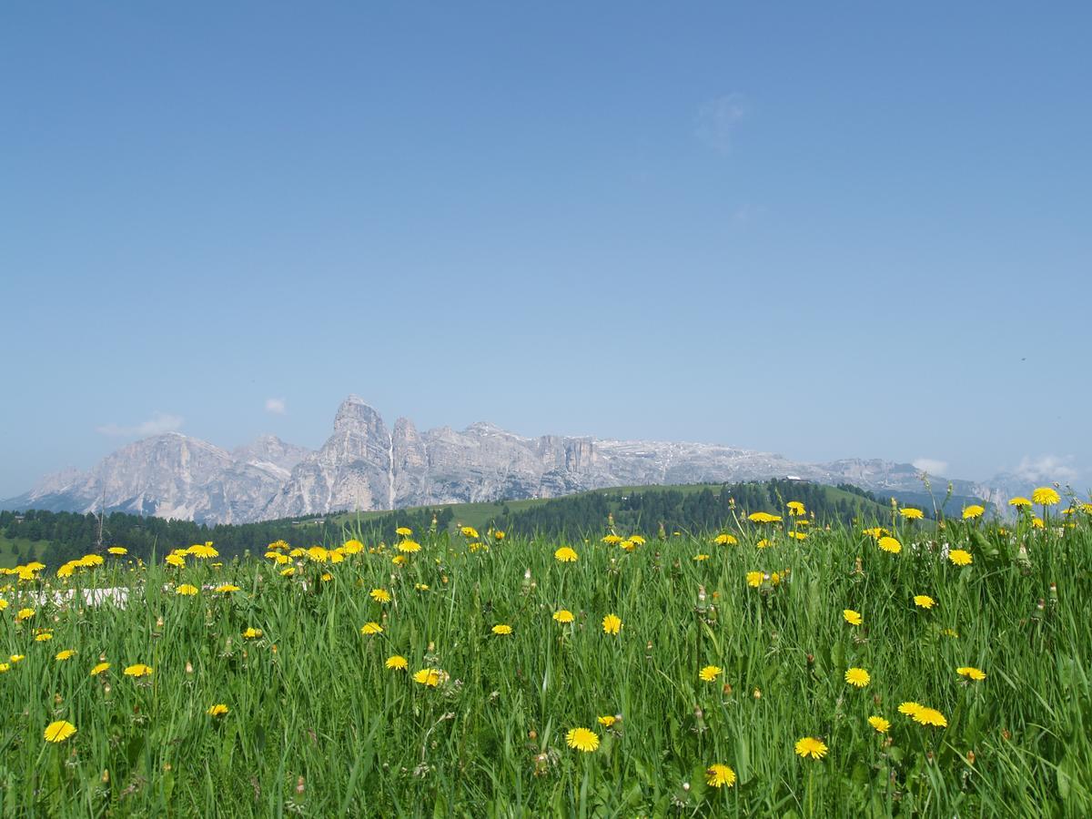 Residence Vajolet San Cassiano Exterior photo